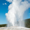 Old Faithful in Aktion