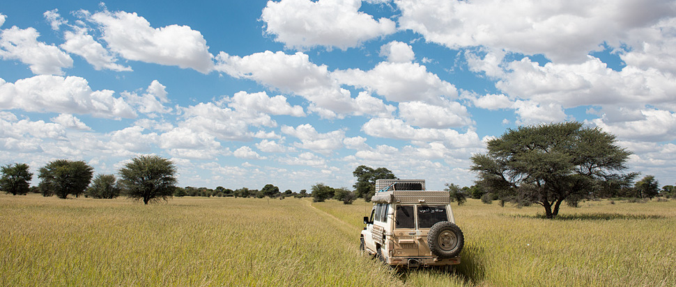 Auf dem Weg zum Kaa Gate im Kgalagadi NP